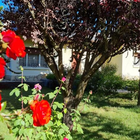 De Las Rosas Bariloche Kültér fotó