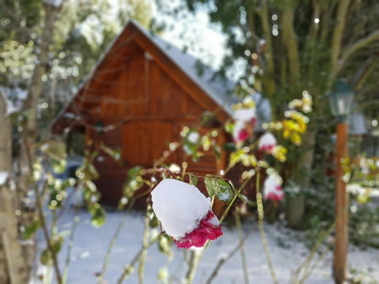 De Las Rosas Bariloche Kültér fotó